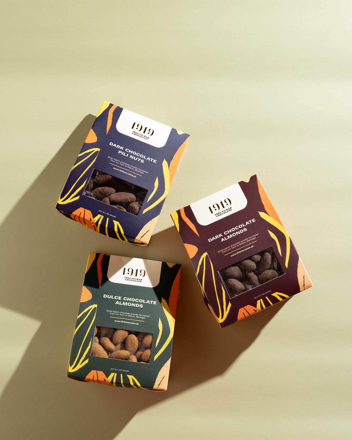 Dark Chocolate Pili Nuts