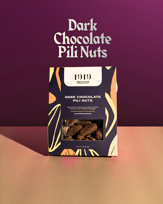 Dark Chocolate Pili Nuts 100g