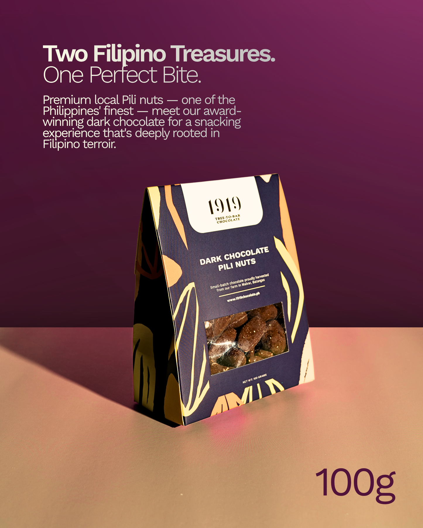 Dark Chocolate Pili Nuts 100g